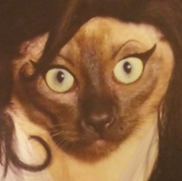 Meet your Posher, Athena - Picture 2 of 2